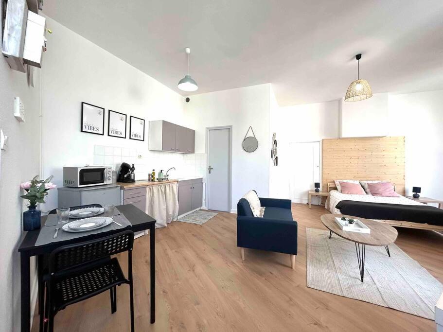 Studio Le «Victor Hugo» , Hyper Centre Ville Βιέν Εξωτερικό φωτογραφία